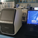 荧光定量PCR仪(Q6)